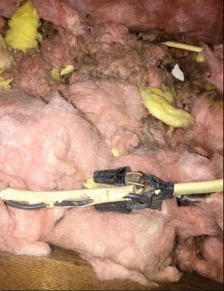 mice infestation in attic before photo damaged wires